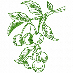 Fruits Embroidery Design 7